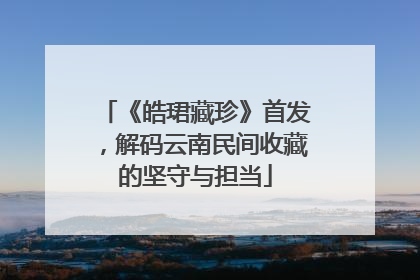 《皓珺藏珍》首发，解码云南民间收藏的坚守与担当