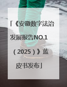 《安徽数字法治发展报告NO.1（2025）》蓝皮书发布