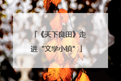 《天下良田》走进“文学小镇”
