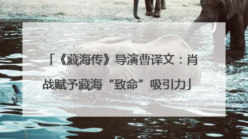 《藏海传》导演曹译文：肖战赋予藏海“致命”吸引力