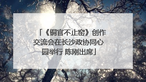 《铜官不止窑》创作交流会在长沙政协同心园举行 陈刚出席