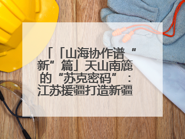 「山海协作谱“新”篇」天山南簏的“苏克密码”：江苏援疆打造新疆克州制造新引擎