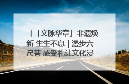 「文脉华章」非遗焕新 生生不息｜漫步六尺巷 感受礼让文化浸润的“巷”往生活