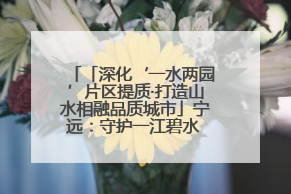 「深化‘一水两园’片区提质·打造山水相融品质城市」宁远：守护一江碧水 共享幸福河湖
