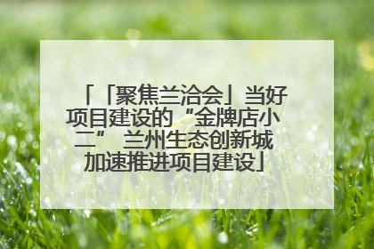 「聚焦兰洽会」当好项目建设的“金牌店小二” 兰州生态创新城加速推进项目建设