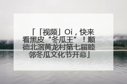 「视频」Oi，快来看黑皮“冬瓜王”！顺德北滘黄龙村第七届睦邻冬瓜文化节开幕