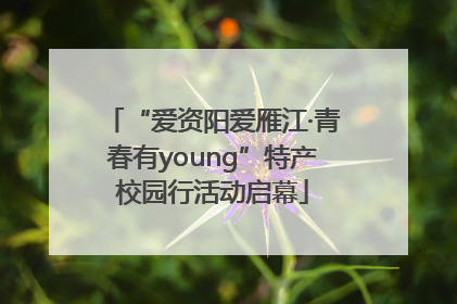 “爱资阳爱雁江·青春有young”特产校园行活动启幕