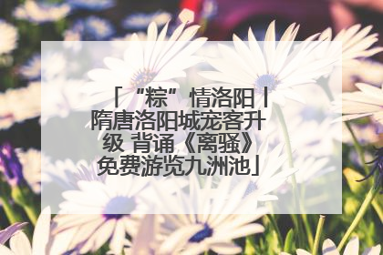 “粽”情洛阳丨隋唐洛阳城宠客升级 背诵《离骚》免费游览九洲池