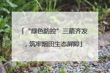 “绿色防控”三箭齐发，筑牢烟田生态屏障