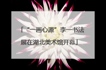 “一画心源”李一书法展在湖北美术馆开幕