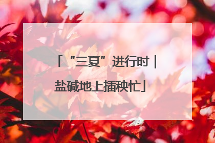 “三夏”进行时｜盐碱地上插秧忙