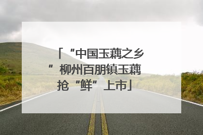 “中国玉藕之乡”柳州百朋镇玉藕抢“鲜”上市