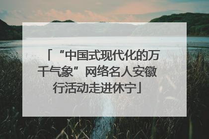 “中国式现代化的万千气象”网络名人安徽行活动走进休宁