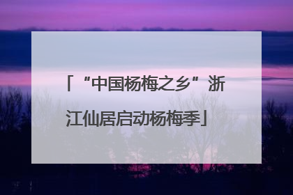 “中国杨梅之乡”浙江仙居启动杨梅季