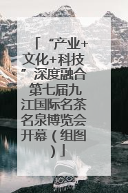 “产业+文化+科技”深度融合 第七届九江国际名茶名泉博览会开幕（组图）