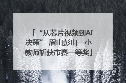 “从芯片视频到AI决策” 眉山彭山一小教师斩获市赛一等奖