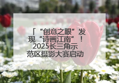 “创意之眼”发现“诗画江南”！2025长三角示范区摄影大赛启动，喊你来“拍”