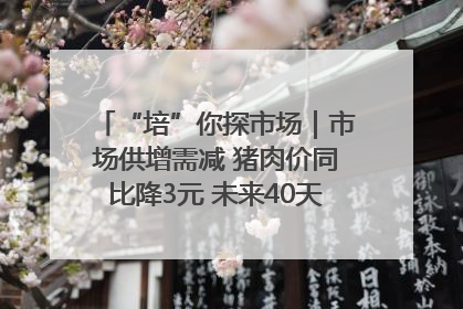 “培”你探市场｜市场供增需减 猪肉价同比降3元 未来40天便宜猪肉敞开吃