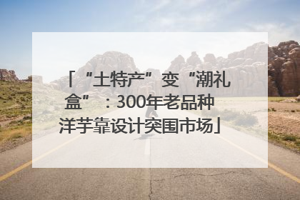 “土特产”变“潮礼盒”：300年老品种洋芋靠设计突围市场