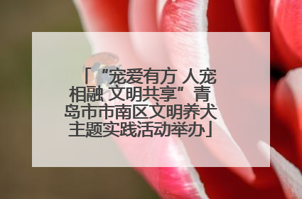 “宠爱有方 人宠相融 文明共享”青岛市市南区文明养犬主题实践活动举办