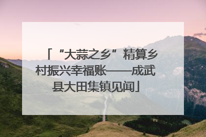 “大蒜之乡”精算乡村振兴幸福账——成武县大田集镇见闻