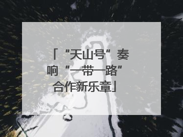 “天山号”奏响“一带一路”合作新乐章
