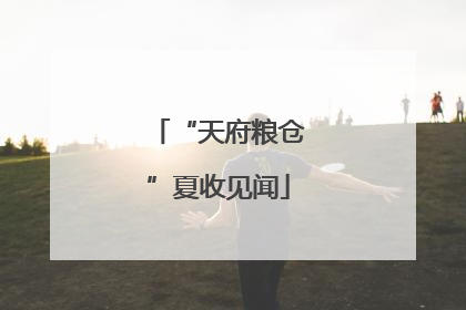 “天府粮仓”夏收见闻