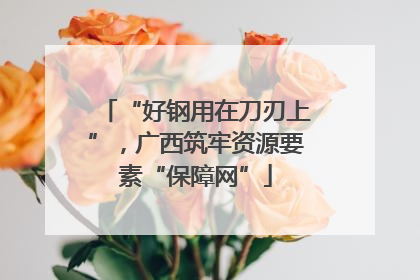“好钢用在刀刃上”，广西筑牢资源要素“保障网”