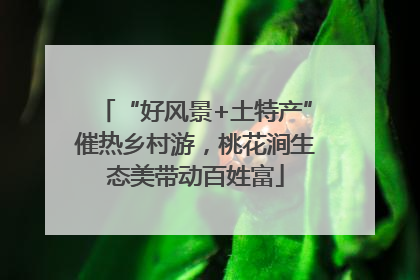“好风景+土特产”催热乡村游，桃花涧生态美带动百姓富