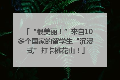 “很美丽！”来自10多个国家的留学生“沉浸式”打卡桃花山！