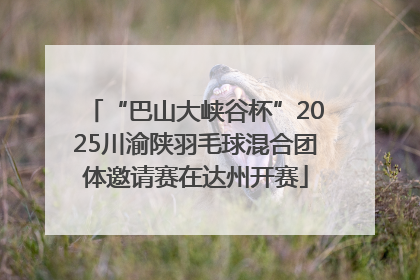 “巴山大峡谷杯”2025川渝陕羽毛球混合团体邀请赛在达州开赛