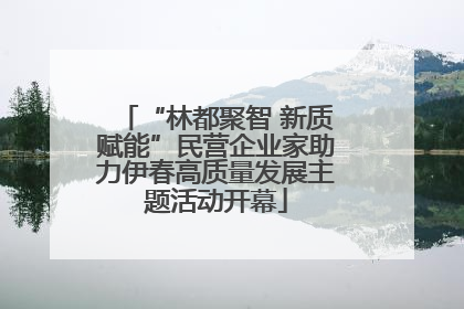 “林都聚智 新质赋能”民营企业家助力伊春高质量发展主题活动开幕
