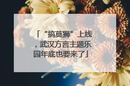 “搞莫狮”上线，武汉方言主题乐园年底也要来了