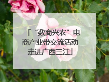 “数商兴农”电商产业带交流活动走进广西三江