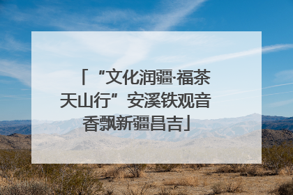 “文化润疆·福茶天山行”安溪铁观音香飘新疆昌吉