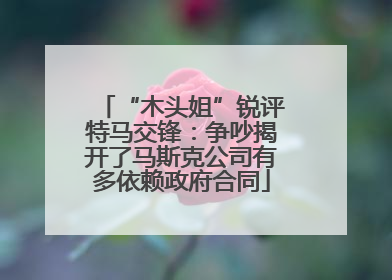 “木头姐”锐评特马交锋：争吵揭开了马斯克公司有多依赖政府合同