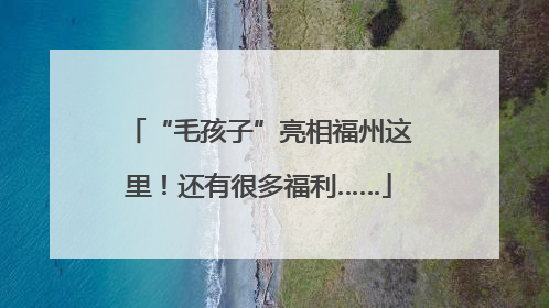 “毛孩子”亮相福州这里！还有很多福利……
