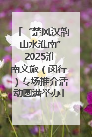 “楚风汉韵 山水淮南” 2025淮南文旅（闵行）专场推介活动圆满举办