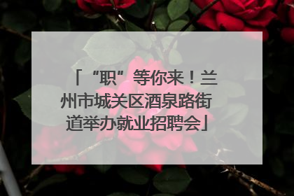 “职”等你来！兰州市城关区酒泉路街道举办就业招聘会