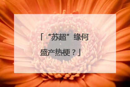 “苏超”缘何盛产热梗？