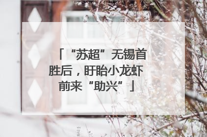 “苏超”无锡首胜后，盱眙小龙虾前来“助兴”
