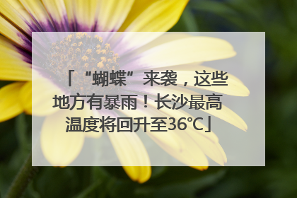 “蝴蝶”来袭，这些地方有暴雨！长沙最高温度将回升至36℃
