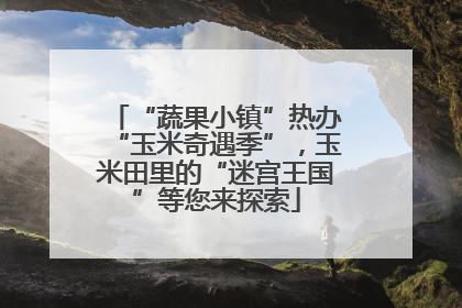 “蔬果小镇”热办“玉米奇遇季”，玉米田里的“迷宫王国”等您来探索