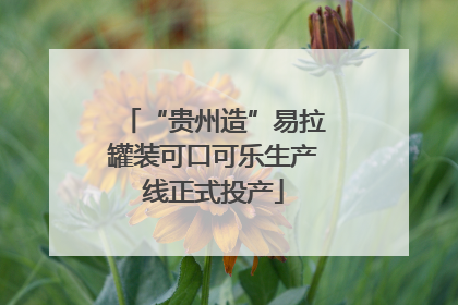 “贵州造”易拉罐装可口可乐生产线正式投产