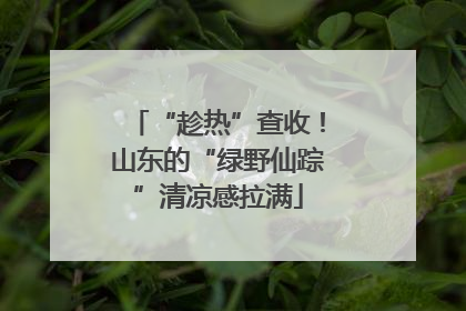 “趁热”查收！山东的“绿野仙踪”清凉感拉满
