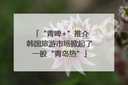 “青啤+”推介 韩国旅游市场掀起了一股“青岛热”