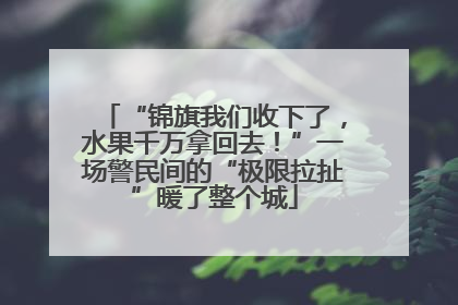 “锦旗我们收下了，水果千万拿回去！”一场警民间的“极限拉扯”暖了整个城
