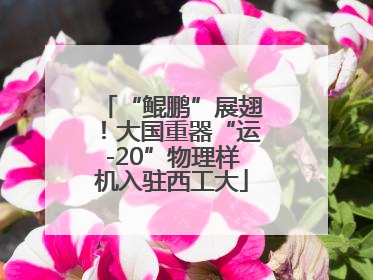 “鲲鹏”展翅！大国重器“运-20”物理样机入驻西工大