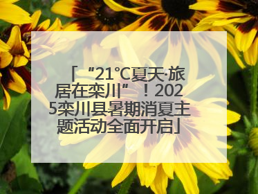 “21℃夏天·旅居在栾川”！2025栾川县暑期消夏主题活动全面开启