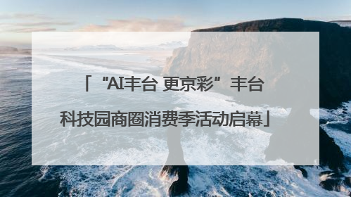 “AI丰台 更京彩”丰台科技园商圈消费季活动启幕